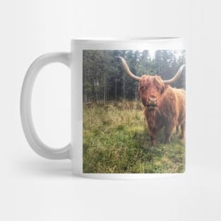 Scottish Highland Cattle Cow 2116 Mug